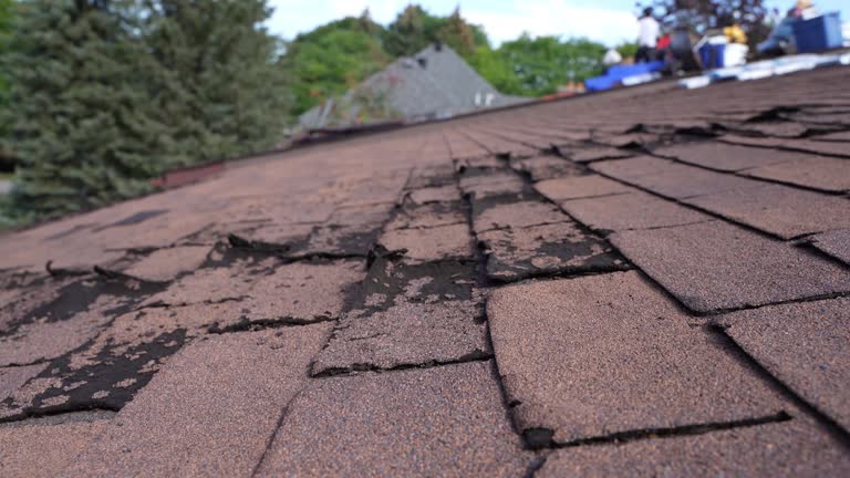 Best Storm Damage Roof Repair  in Glen Lyon, PA